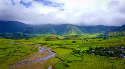 Aerial view of rice fields planted in steps Stock Photos