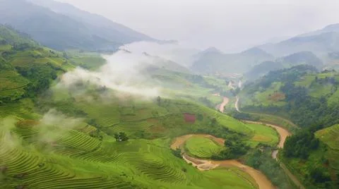 Aerial view of rice fields planted in steps Stock Photos