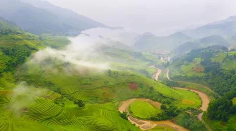 Aerial view of rice fields planted in steps Stock Photos
