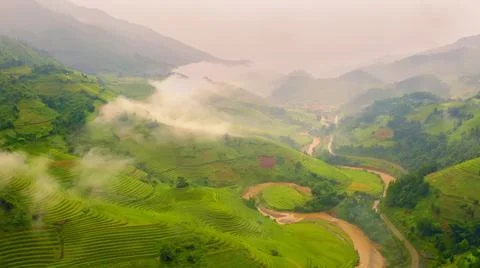 Aerial view of rice fields planted in steps Stock Photos