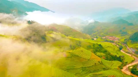 Aerial view of rice fields planted in steps Stock Photos