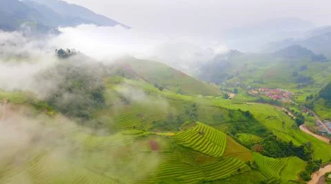 Aerial view of rice fields planted in steps Stock Photos