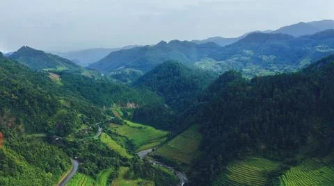 Aerial view of rice fields planted in steps Stock Photos