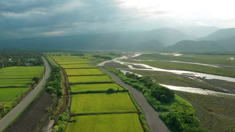 Aerial view of rice fields in Sanxing Township, Yilan County, Taiwan Stock-Footage 342026172