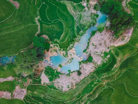 Aerial view Rice fields, Sumba Indonesia Stock Photos