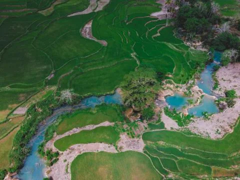 Aerial view Rice fields, Sumba Indonesia Stock Photos