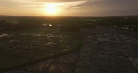 Aerial View of Rice Fields at Sunset Near Tissamaharama Lake, Sri Lanka Stock Footage 326195659
