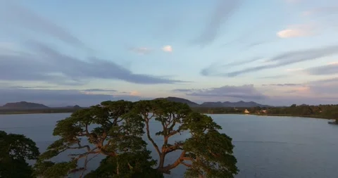Aerial View of Rice Fields at Sunset Near Tissamaharama Lake, Sri Lanka Stock Footage 326195930