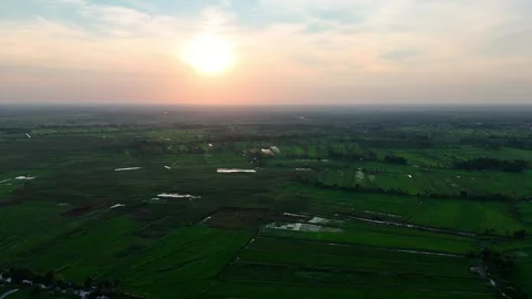 Aerial view of rice fields at sunset, Indonesia. Stock Footage 345610196