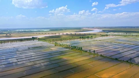 Aerial view of rice fields on the Yellow River in spring Stock Footage 293336057