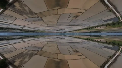 Aerial view of rice paddies, split by water 스톡 동영상 345399160