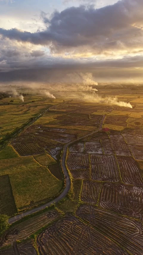 Aerial View of Rice Paddy Patterns with Smoke and Storm Clouds in Aceh Indonesia Stock Footage 336042838