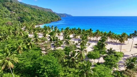 Aerial view of Rincon Beach, Samana Island, Dominican Republic. Stock Footage 332501448