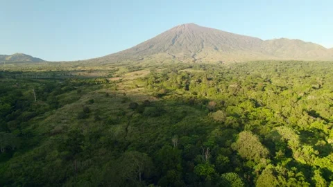 Aerial view of Rinjani active volcano mountain from Sembalun village Stock Footage 263540876