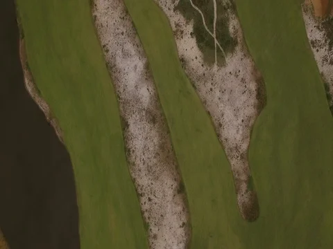Aerial view of the Rio2016 Golf Course. Rio De Janeiro, Brazil. Shot in 4K. Stock-Footage 77742961