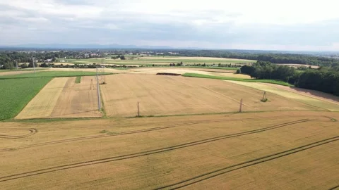 Aerial view of ripe wheat fields and power lines in rural farmland landscape Stock Footage 347801979