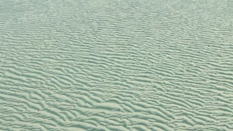 Aerial View of Ripple Marks Patterns on Wet Sandy Beach at Low Tide Stock Footage 239170810