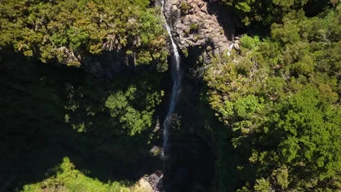 Aerial View of Risco Waterfall Cascading in Lush Laurel Forest, Madeira 스톡 동영상 345019729