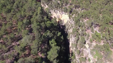 Aerial view rises along deep canyon walls above pine forest - Geological Relief Stock Footage 339792196