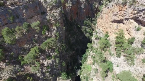 Aerial view rises along deep canyon walls above pine forest - Stratified Ground Stock Footage 339792215