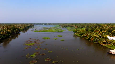 Aerial view rising over a canals in Kochi, sunny day in the Backwaters of Kerala Stock-Footage 336701310