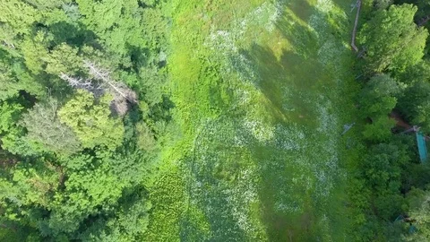 Aerial view of river across beautiful forest Stock Footage
