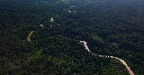 Aerial View of a River in the Amazon Rain Forest in Brazil Stock Footage