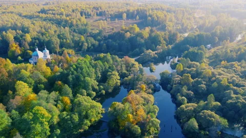 Aerial view of the river among forest in the wild during fall season at sunset Stock Footage 201031522