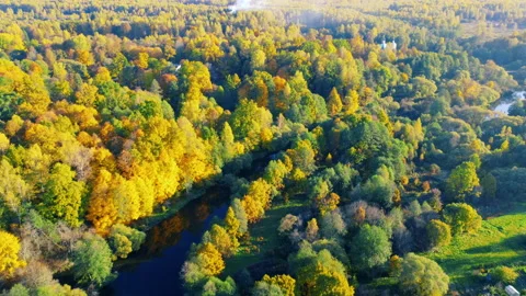 Aerial view of the river among forest in the wild during fall season at sunset Stock Footage 201311473