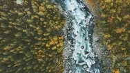 Aerial View River And Coniferous Forest Landscape In Norway Stock Footage