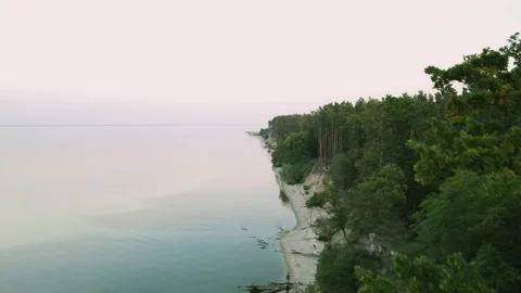 Aerial view of the river and dense forest. Summer evening by the river. Smooth Stock Footage 177643615