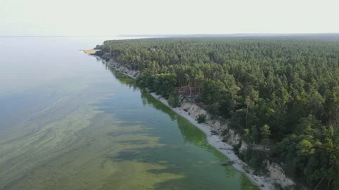 Aerial view of the river and dense forest. Summer evening by the river. Smooth Stock Footage 177941603