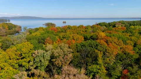 Aerial view of river and fall season foliage colors. Video stock 162623991