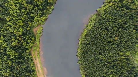 Aerial view of river and forest.  Stock Footage 108104668