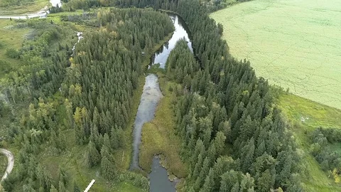 Aerial View of River and Forest Stock Footage 115953165