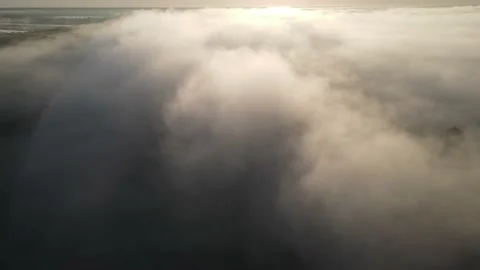 Aerial view of the river and forest Stock Footage 195948245
