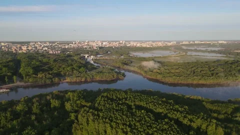 Aerial view of the river and forest Stock Footage 195948346