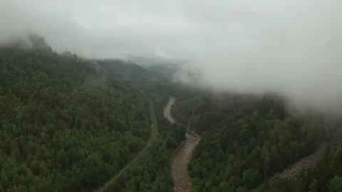 Aerial view of river and forest covered by fog and clouds Stock-Footage 219222792