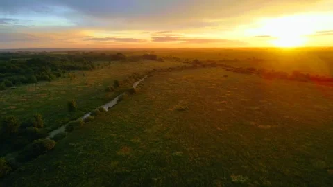 Aerial view of the river and forest Stock Footage 240963378