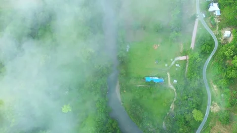 Aerial View of River and Forest Landscape Stock Footage 325643063