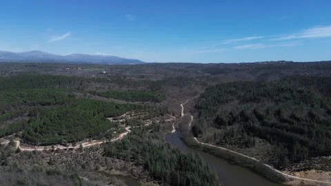 Aerial view of a river and forest Stock Footage 328615607