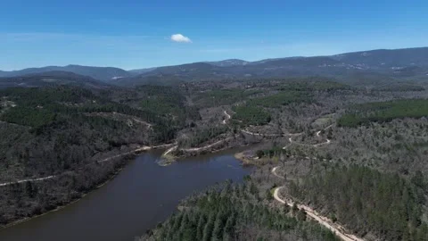 An aerial view of a river and forest Video stock 328615618