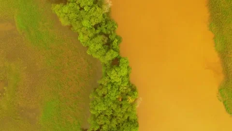 Aerial View of River and Forest Stock Footage 331123070