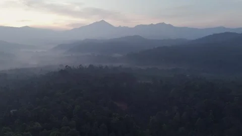 Aerial View of River and Forest Landscape Near Pune Maharashtra India Stock Footage 346754608