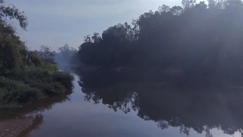 Aerial View of River and Forest Landscape Near Pune Maharashtra India Stock Footage 346754618