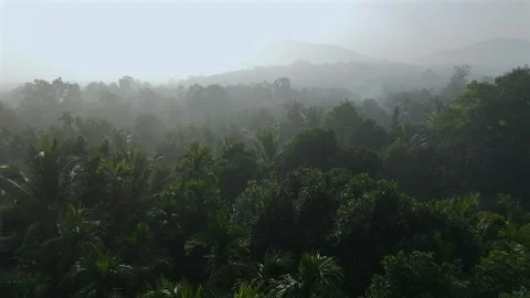 Aerial View of River and Forest Landscape Near Pune Maharashtra India Stock Footage 346754924