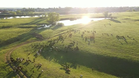 Aerial view of the river and landscape Stock Footage 196599231