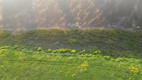 Aerial view of the river and landscape Stock Footage 200003717