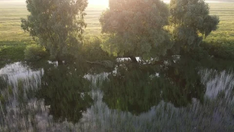 Aerial view of the river and landscape Stock Footage 200004409