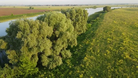 Aerial view of the river and landscape Stock Footage 200004510